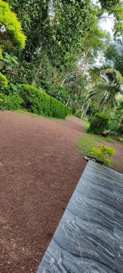 Sunset Villa Negombo Exterior foto